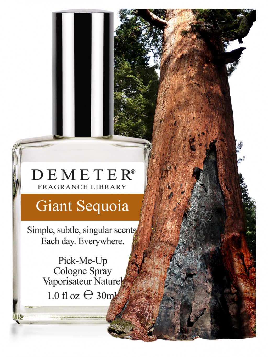    (Giant Sequoia),  df052.