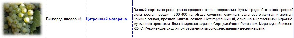 виноград плодовый цитронный магарача.jpg