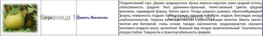 груша память жигалова.jpg