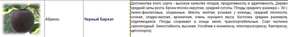 абрикос черный бархат.jpg