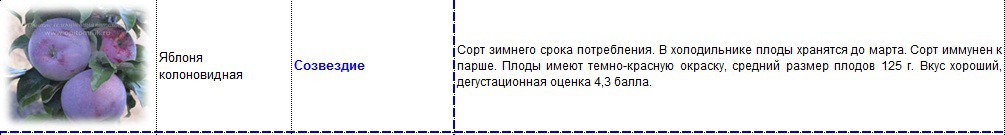 яблоня колоновидная созвездие.jpg