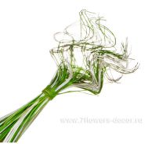 image143 - копия - копия - копия.png