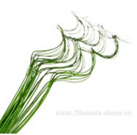 image184 - копия - копия - копия.png