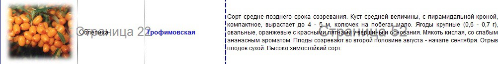 облепиха трофимовская.jpg