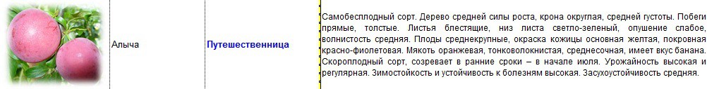алыча путешественница.jpg