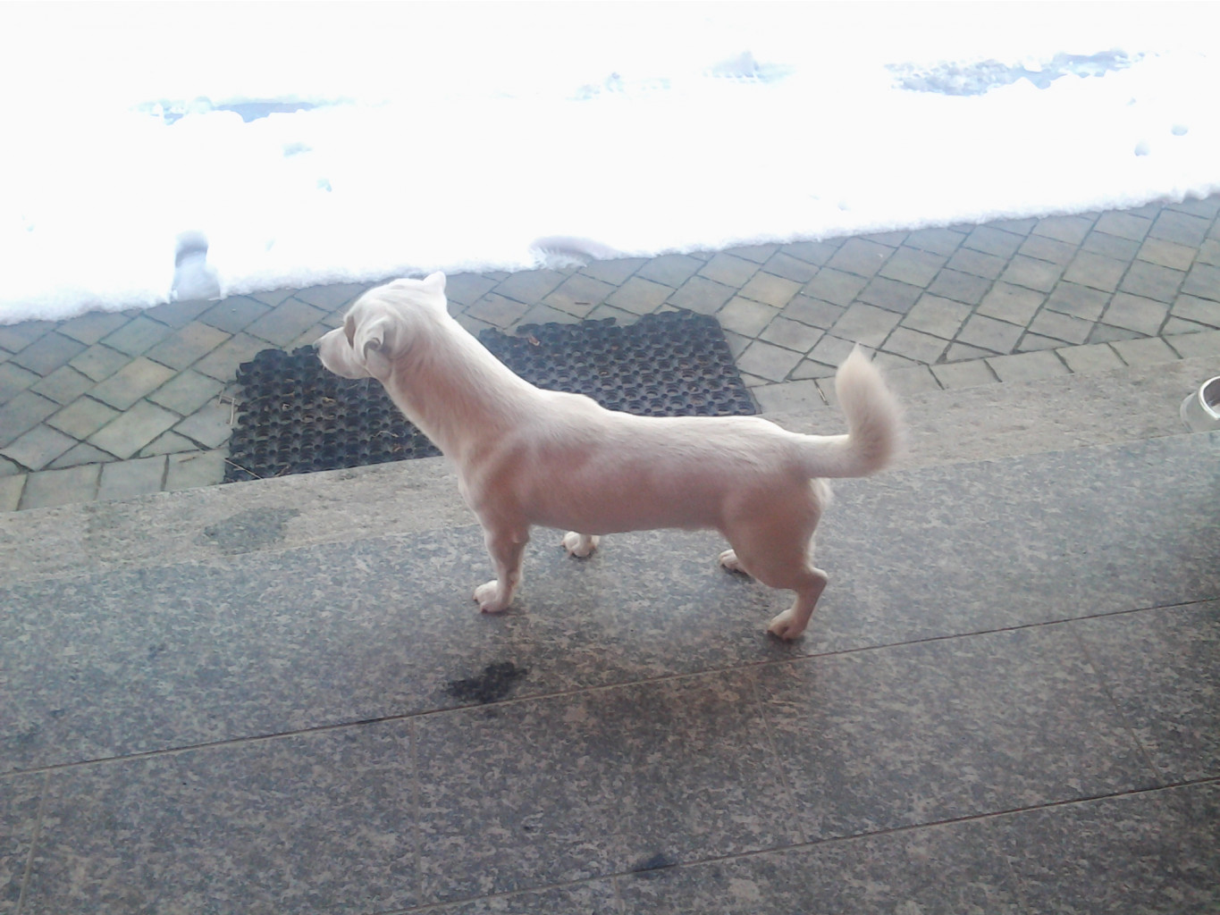 20150122_173046.jpg