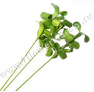 image162 - копия - копия - копия.png