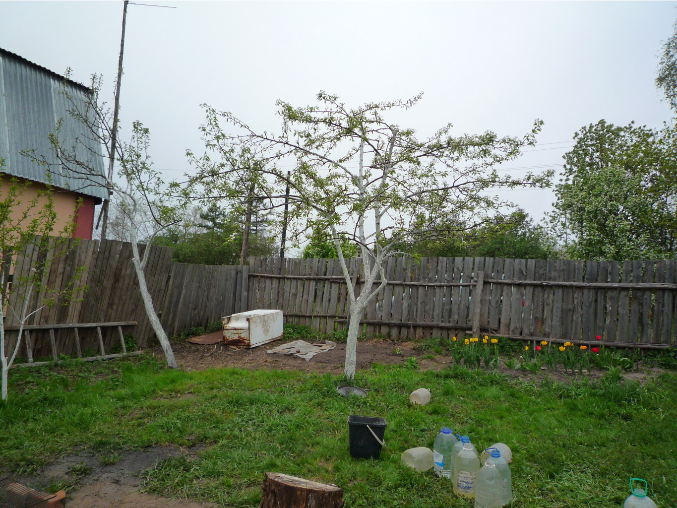 P1050623.JPG