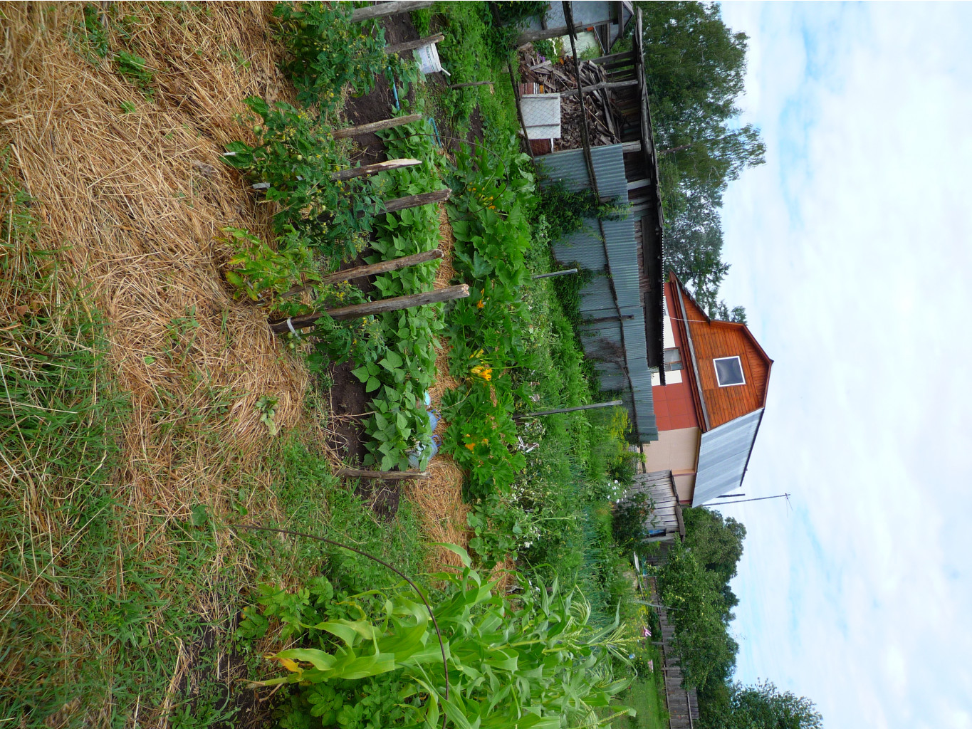 P1050814.JPG