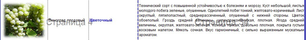 виноград плодовый цветочный.jpg