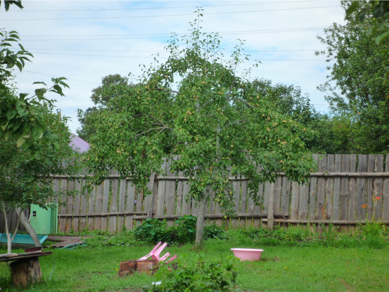 P1050821.JPG