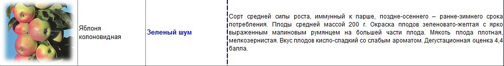 яблоня колоновидная зеленый шум.jpg