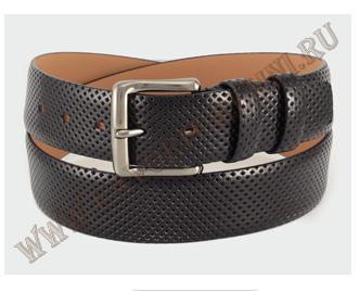  Favorit ( )   1200+%