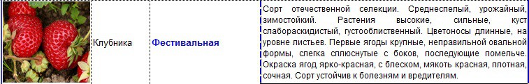 фестивальная.jpg