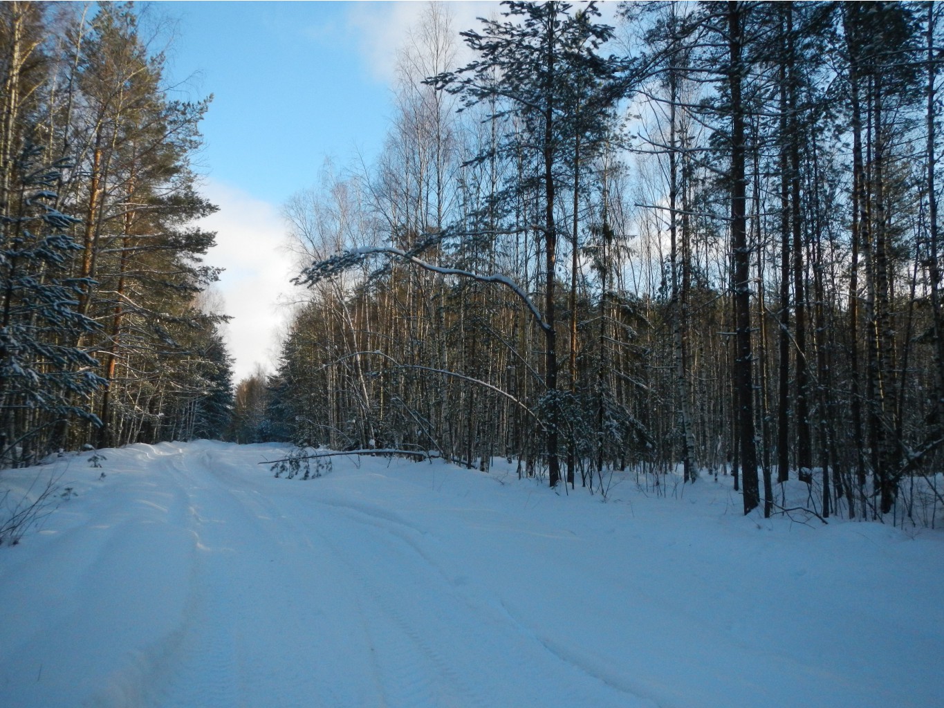 DSCN4288.JPG