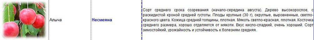 алыча несмеяна.jpg