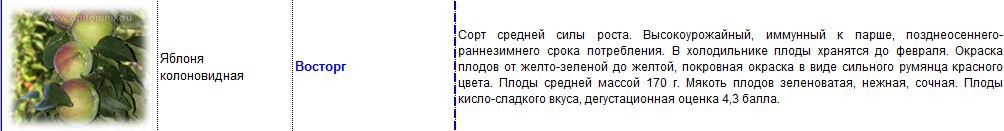 яблоня колоновидная восторг.jpg