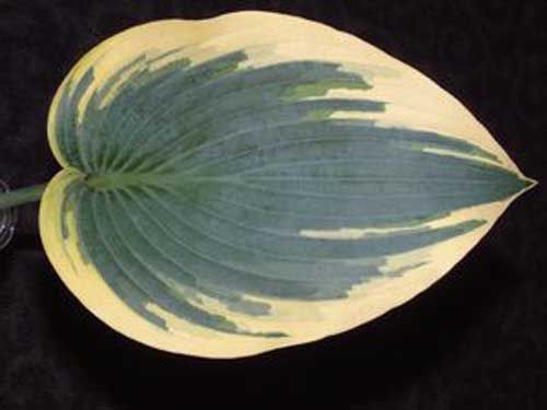  (No3-4)