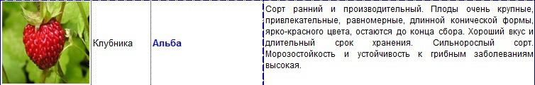 альба.jpg