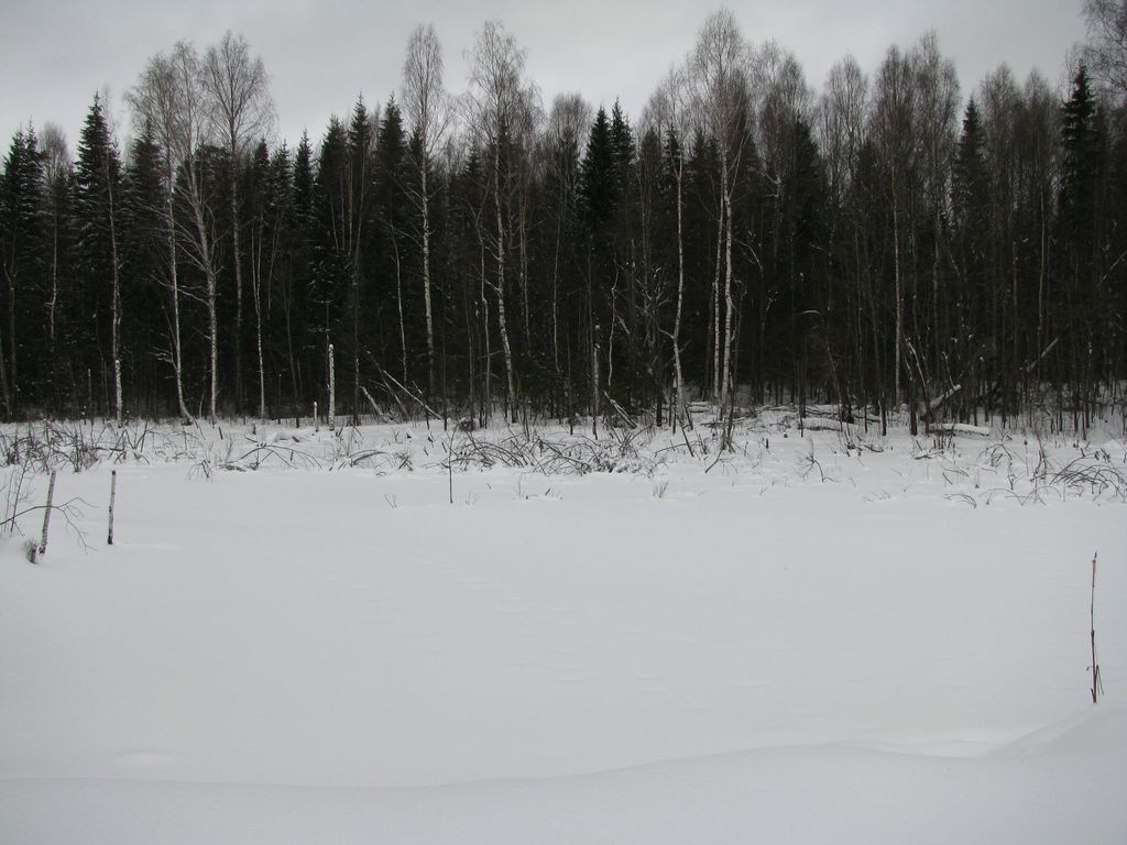 IMG_6566.JPG