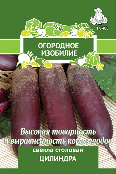 Свёкла столовая Цилиндра.jpg