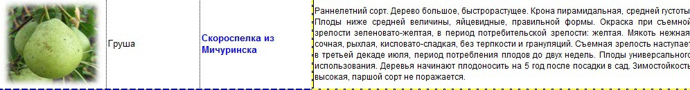 груша скороспелка из мичуринска.jpg
