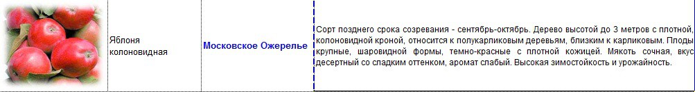 яблоня колоновидная московское ожерелье.jpg