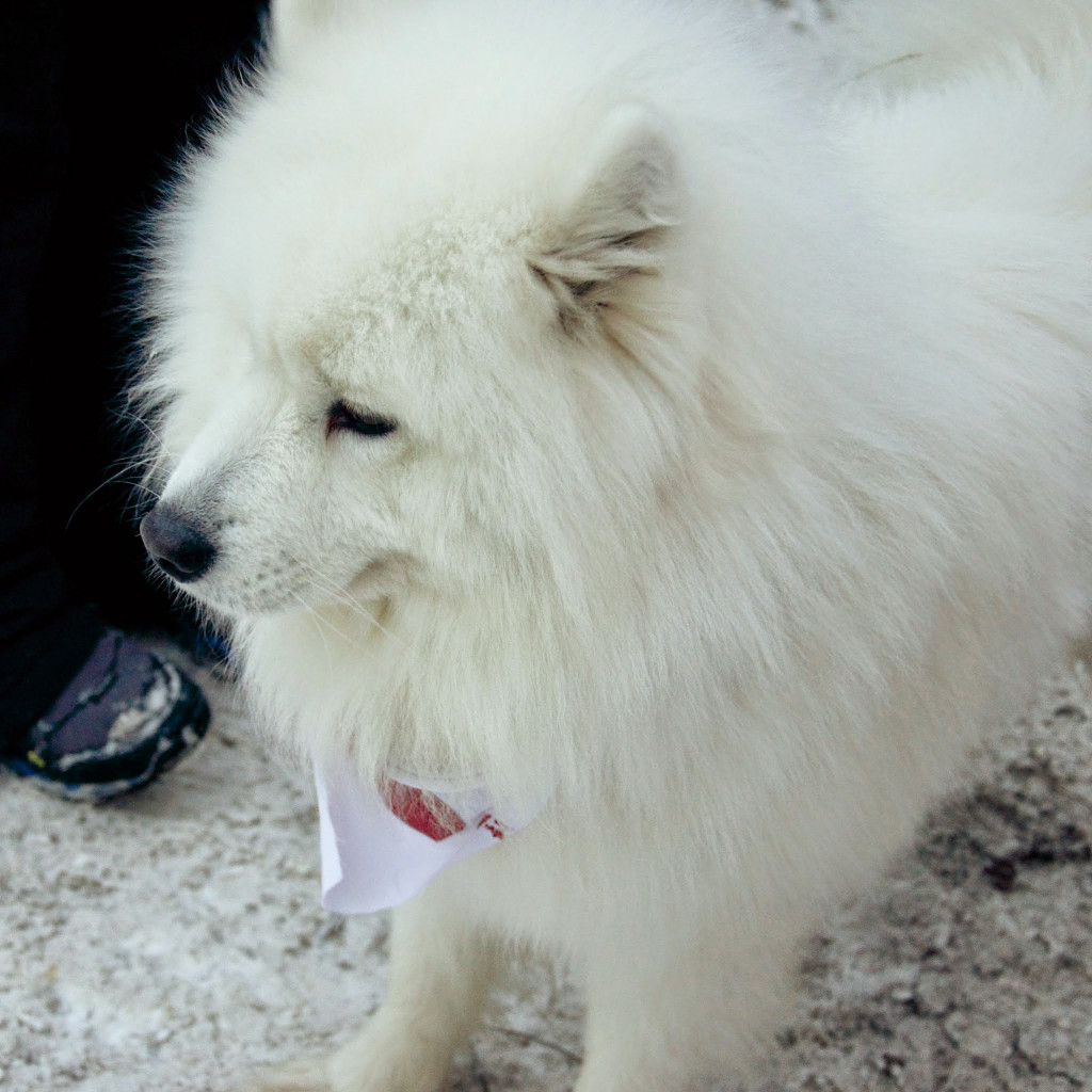 DSC_0304.jpg