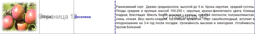 яблоня веселина.jpg