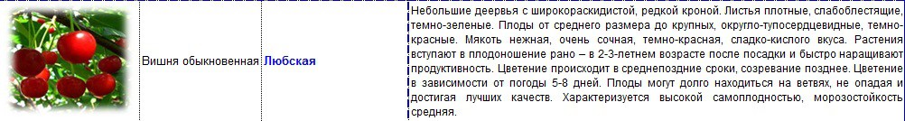 вишня любская.jpg