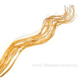 image175 - копия - копия - копия.png