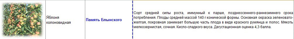 яблоня колоновидная память блынского.jpg
