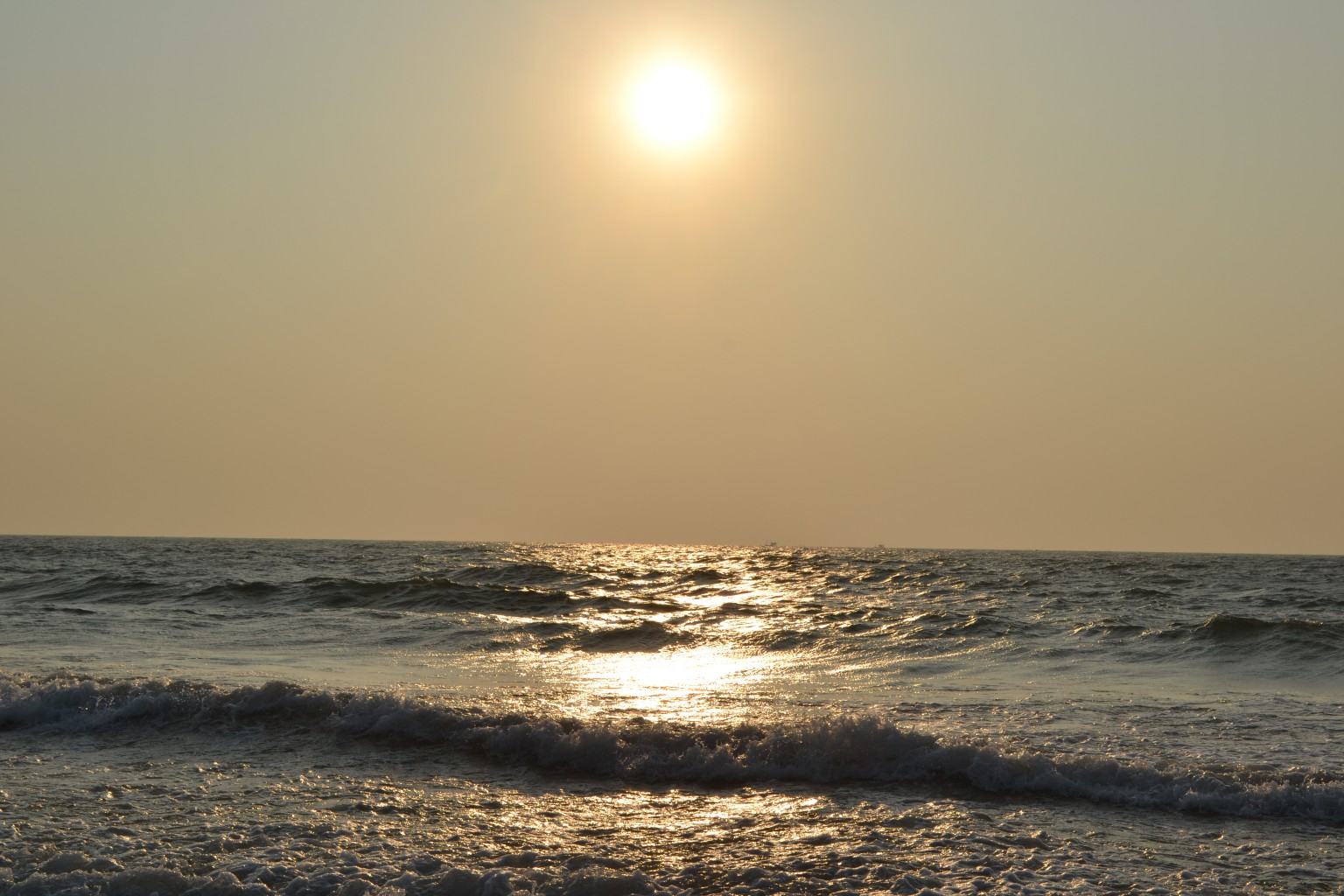 DSC_00305.JPG
