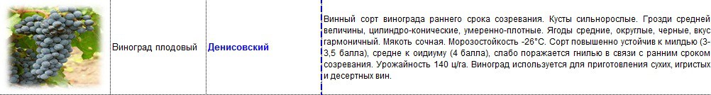 виноград плодовый денисовский.jpg