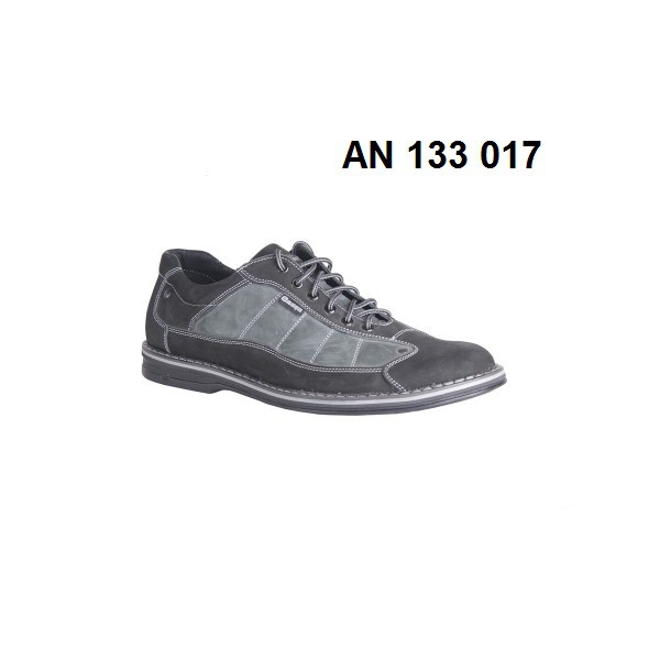 1550. AN 133 017