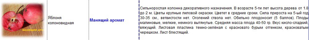 яблоня колоновидная манящий аромат.jpg