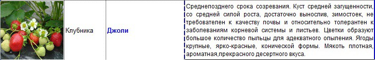 джоли.jpg