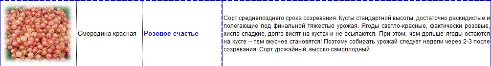 смородина красная розовое счастье.jpg