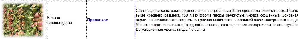 яблоня колоновидная приокское.jpg