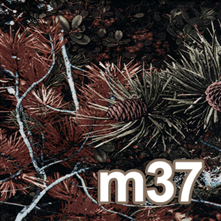 m37.png