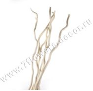 image117 - копия - копия - копия - копия.png