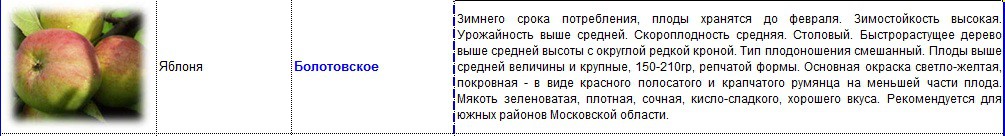 яблоня болотовское.jpg