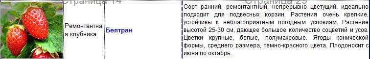 белтран.jpg