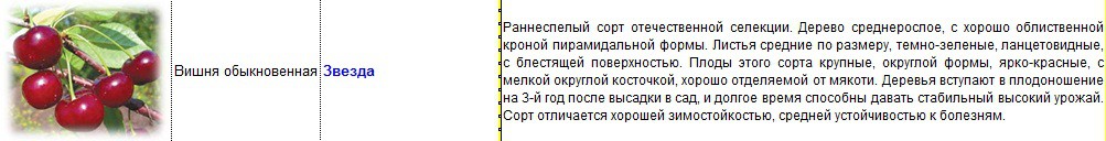 вишня звезда.jpg