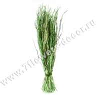 image232 - копия - копия - копия.png