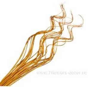 image187 - копия - копия - копия.png