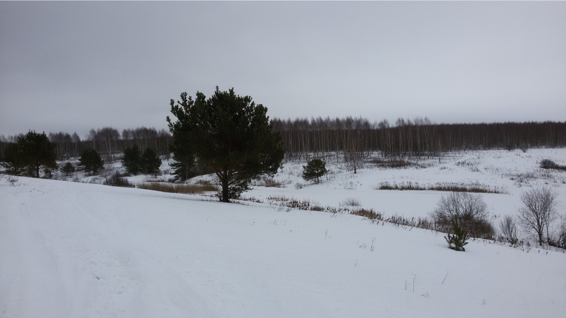 20150118_122139.jpg