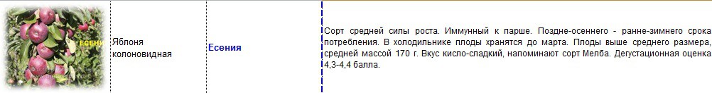 яблоня колоновидная есения.jpg