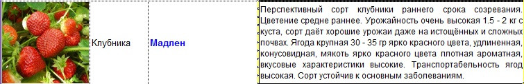 мадлен.jpg