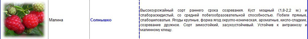 малина солнышко.jpg